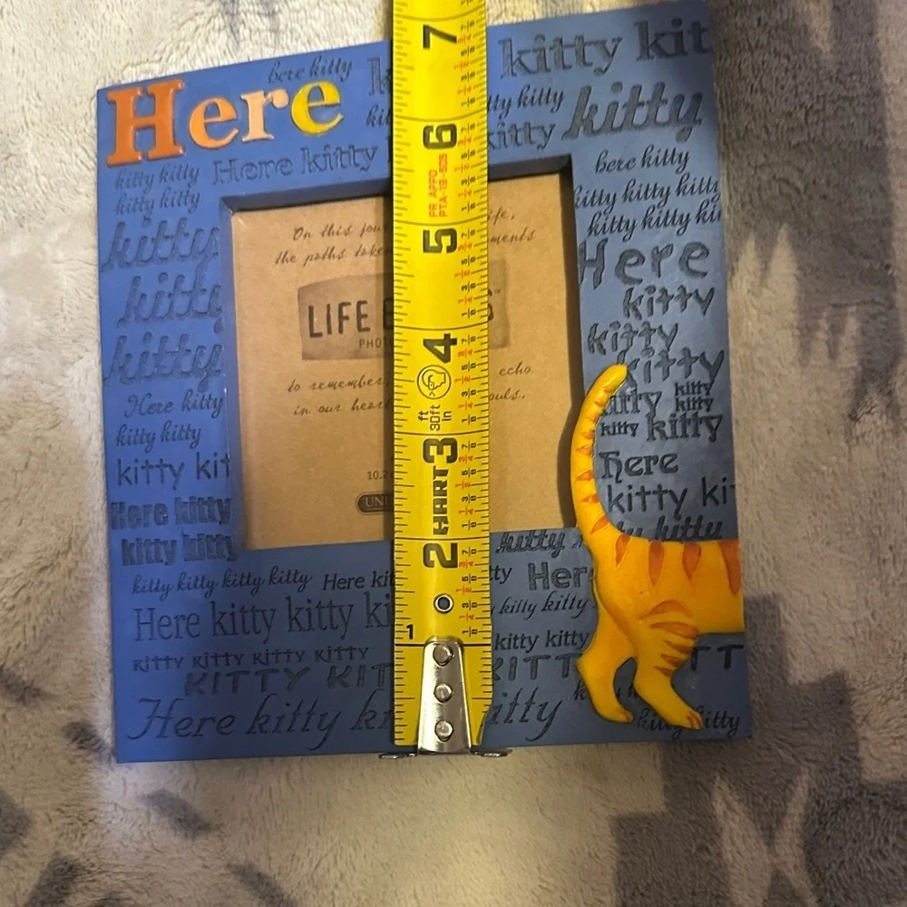 Blue and Orange Cat Picture Frame